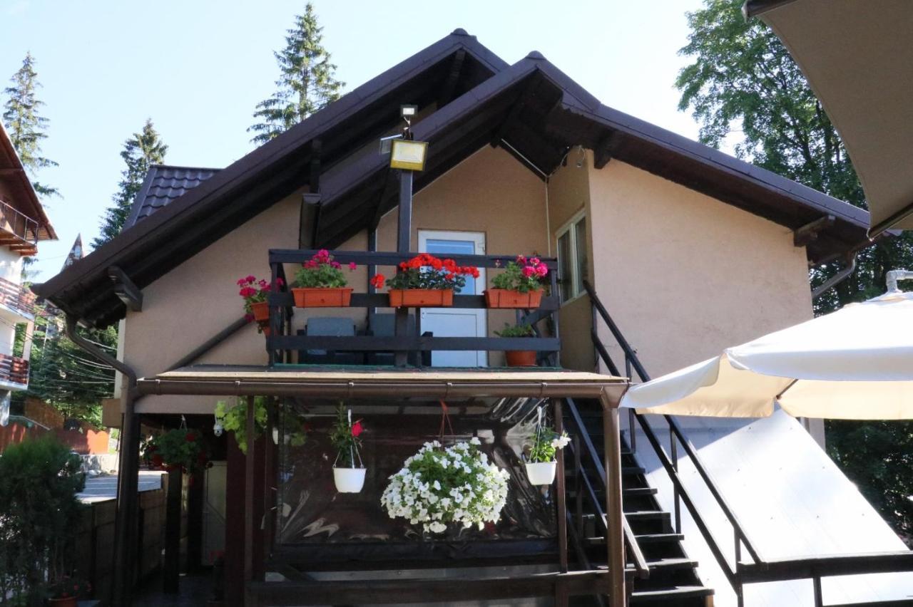 Casa Anne Marie Sinaia Exterior foto